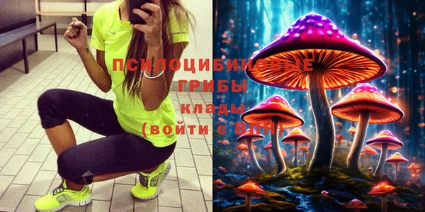 стаф Алексеевка
