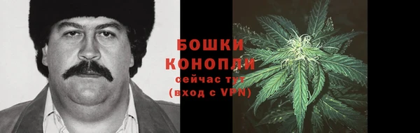 прущие грибы Алексин